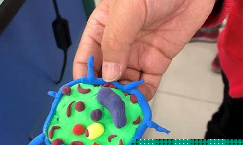 苏州工业园区细胞实验室装修